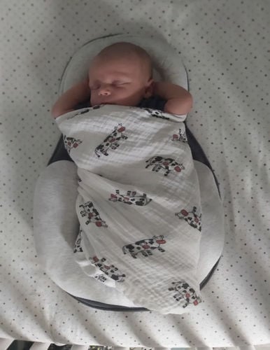 [Baby Care]Portable Baby Bed