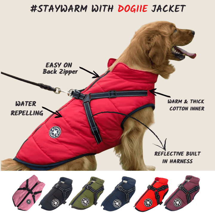 🎅Waterproof Winter Dog Jacket with Built-in Harness