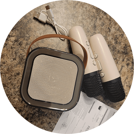 The Ultimate Family Mini Karaoke Machine with Wireless Microphones