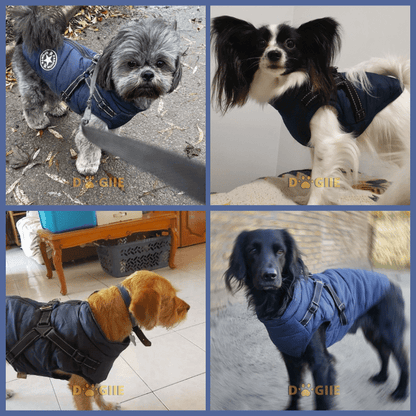 🎅Waterproof Winter Dog Jacket with Built-in Harness